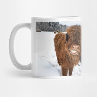 Scottish Highland Cattle Calf 1672 Mug